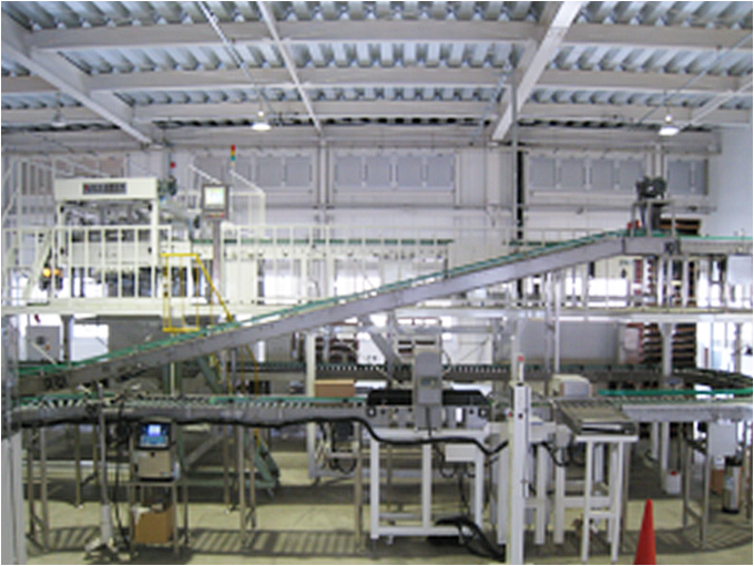 JAPAN S co High Palletizer