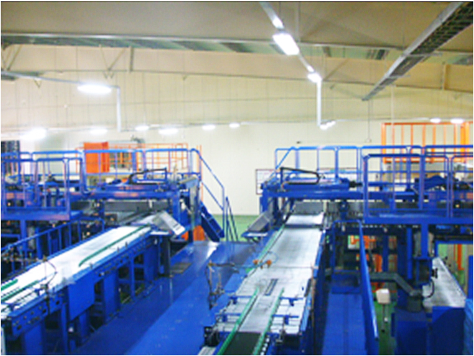 H co High Palletizer