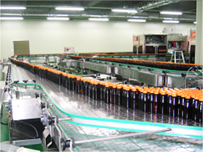 K co TT Chain conveyor