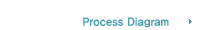 PROCESS DIAGRAM